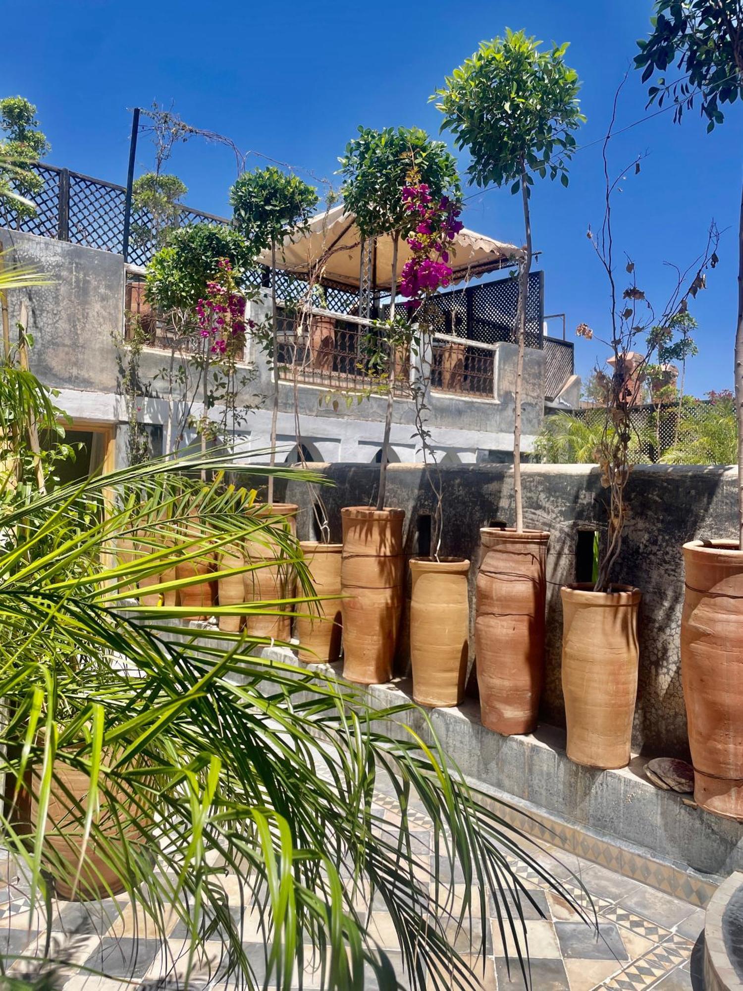 מרקש Riad Green Palm מראה חיצוני תמונה