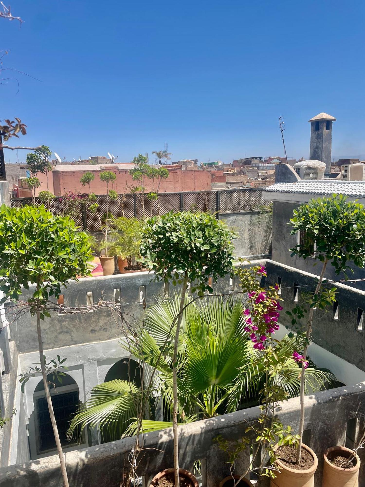 מרקש Riad Green Palm מראה חיצוני תמונה